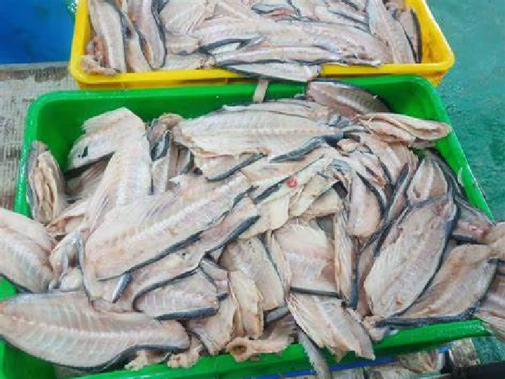 fishmeal processing business